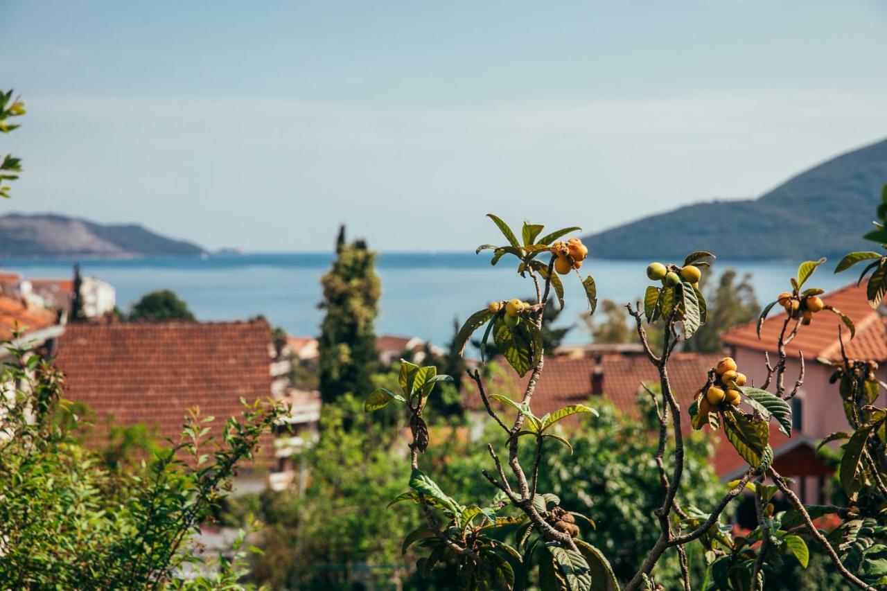 Green Garden Apartments Herceg Novi Exterior foto
